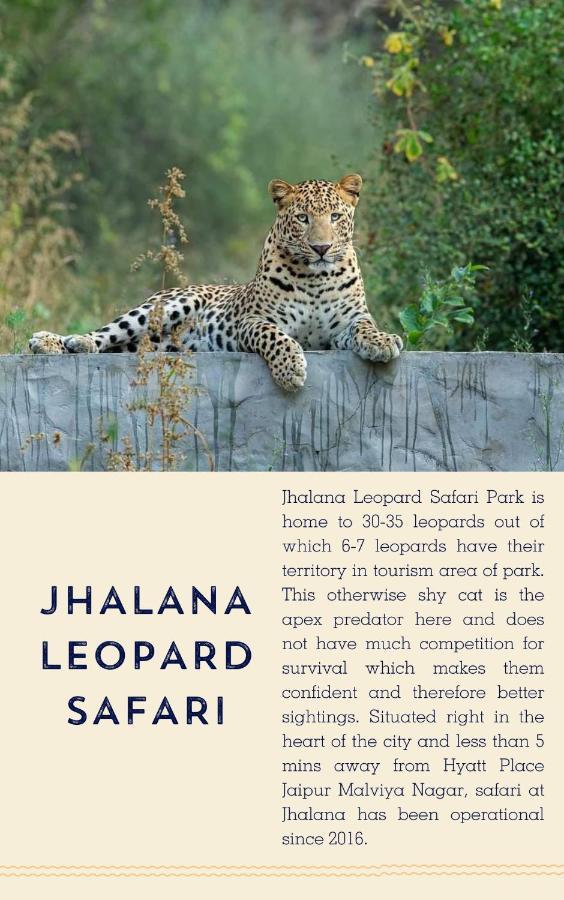 Hyatt Place Jaipur Malviya Nagar Exterior photo Jhalana Leopard